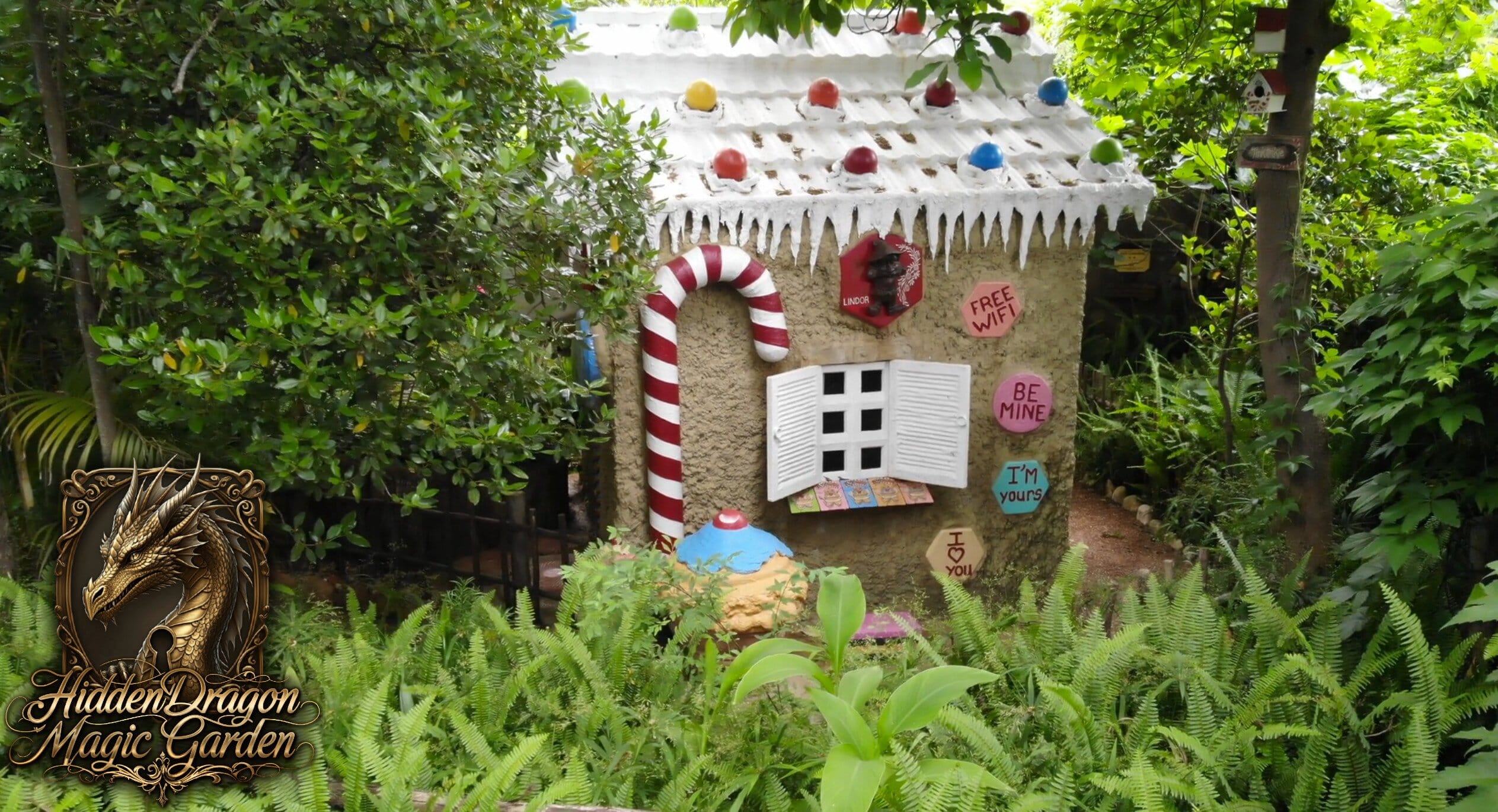 Hidden Dragon Garden 1